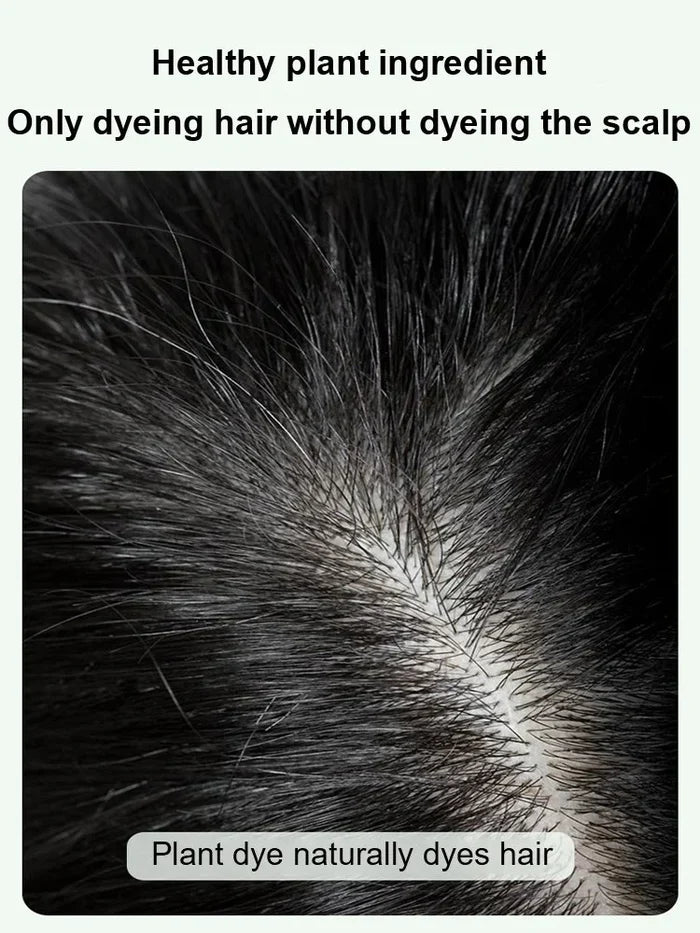 đ2024-Christmas Hot SaleđPlant Bubble Hair Dye Shampoo