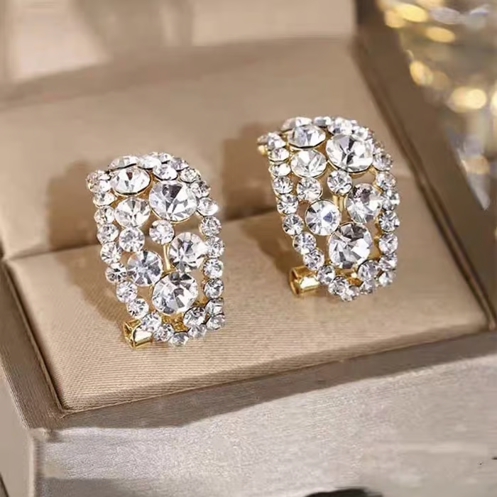 HOT 🔥🔥Lab-Created Diamonds Hoop Earrings🎁