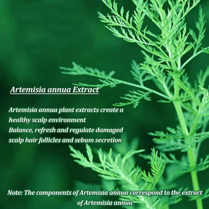 Anti-Dandruff Artemisia Conditioner-【BUY 2 GET 1 FREE】