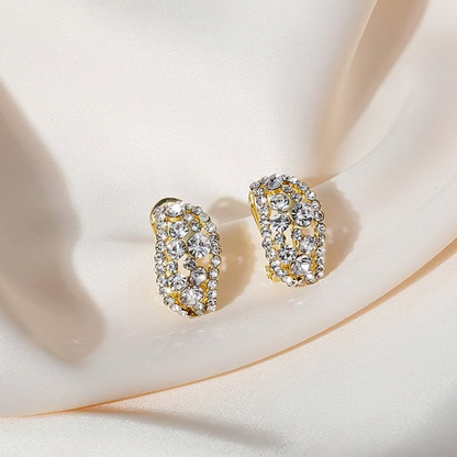 HOT 🔥🔥Lab-Created Diamonds Hoop Earrings🎁