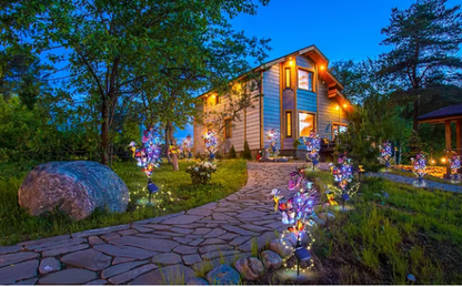 Solar Outdoor Butterfly Lights